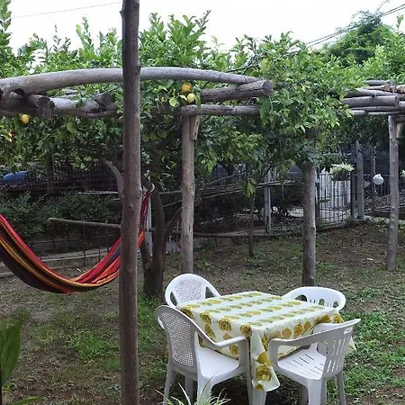 Casa Rosina Amena Minori